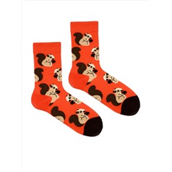 Носки р.35-40 "Niceee" Белочка