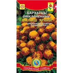 Цв.Барх.Малыш Яркий (Плазма) 30шт