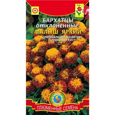 Цв.Барх.Малыш Яркий (Плазма) 30шт