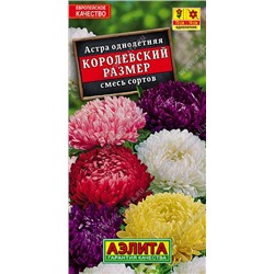 Астра Королевский размер смесь (Аэлита)