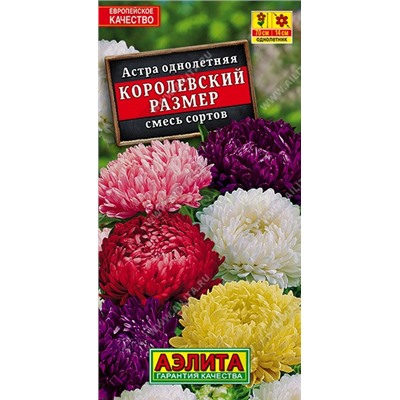Астра Королевский размер смесь (Аэлита)