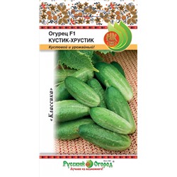Огурец Кустик-хрустик F1 (НК)