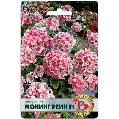 Пеларгония Монинг Рейн F1 (Биотехника)