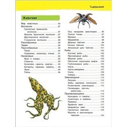 Большая иллюстрированная энциклопедия (978-5-353-08473-0)