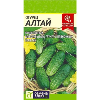 Огурец Алтай (Алтай)