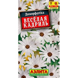 Диморфотека Веселая кадриль (Аэлита)
