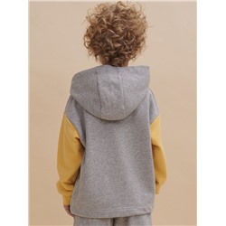 BFNK3352 (Толстовка для мальчика, Pelican Outlet )