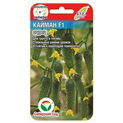 Огурец Кайман F1 (Сиб Сад)