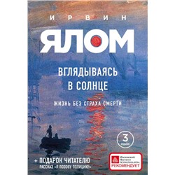 Вглядываясь в солнце. Жизнь без страха смерти