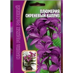 Плюмерия Сиреневый каприз (Редкие)