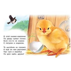 Кн. Знакомимся с животными.  Домашние птицы 16 цветн.стр. 21,3*14,2см  27711