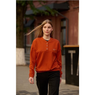 толстовка 3481-36