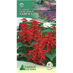 Сальвия Скарлет сверкающая, 0,05г (цв.)
