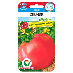 Томат Слоник (Сиб сад)
