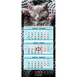2025 Календарь квартальный ХАТ Мини-1 РОЗОВЫЕ ЛАПКИ 3 блока 19,5*44см 31517