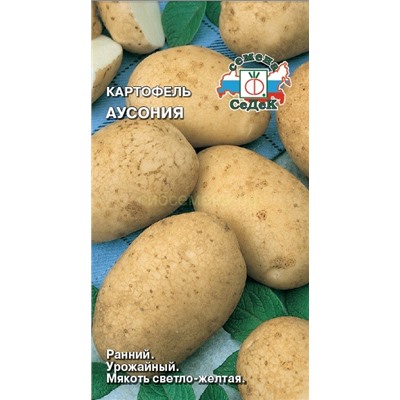 Картофель  Аусония (Седек)