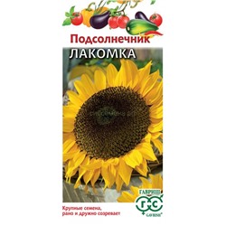 Подсолнечник Лакомка (Гавр)