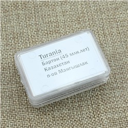 Зубы акулы "Turania" 5шт. в блистерной упаковке