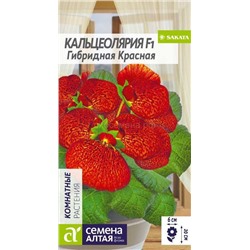 Кальцеолярия Гибридная Красная (Алтай)