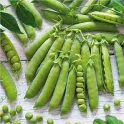 Горох Изюмчик (Сиб.сад) 5г