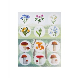 Обучающее лото для детей «Лето в деревне» с пластиковыми фишками