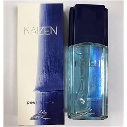KAIZEN POUR HOME 95мл /муж. M~