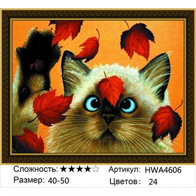 AM45 HWA4606, 40х50 см