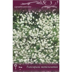 Гипсофила метельчатая (Поиск) 3шт