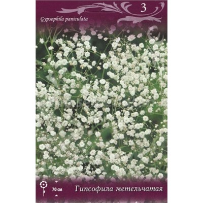 Гипсофила метельчатая (Поиск) 3шт