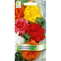 Бегония Лето в Питергофе клубневая (Код: 6485)