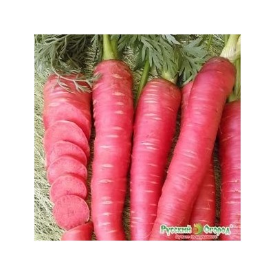 Морковь Рубиновая F1(НК) Вкуснятина 100шт.