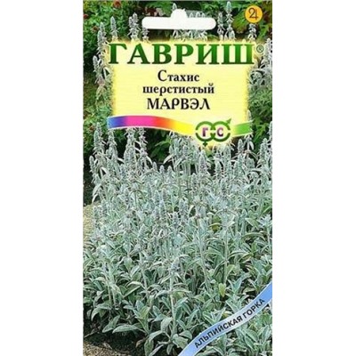 Цв.Стахис Марвэл (Гавриш) 0,05г