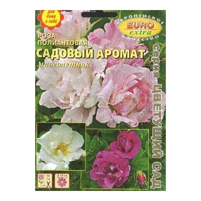Роза Садовый аромат полиантовая (Аэлита)