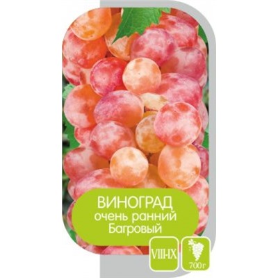 Виноград Багровый (Сем.Алтая)