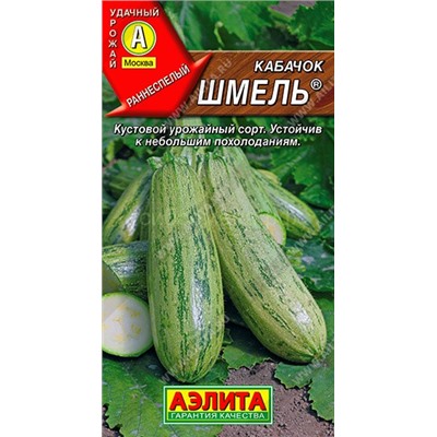 Кабачок цукини Шмель (Аэлита)