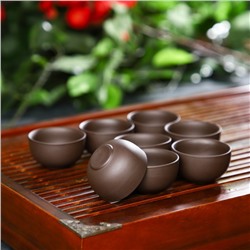 Набор для чайной церемонии керамический «Красная глина», 11 предметов: 8 пиал 50 мл, чайник 220 мл, чахай с фильтром 120 мл, цвет коричневый