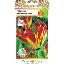 Глориоза Великолепная (НК)