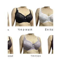 SW Бюст  11361В  чашка D