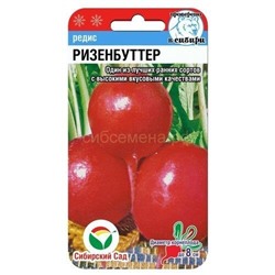 Редис Ризенбуттер (Сиб сад)