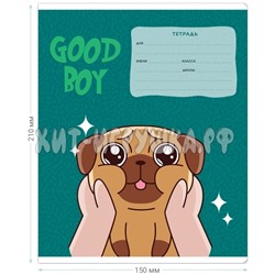 Тетрадь 12 л. клетка "Good boy" в ассортименте MESHU MS_43306, MS_43306
