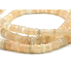 Бусы из Беломорита-лунный камень диски 5*2мм, 48см, 23,2г