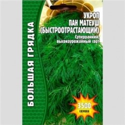 Укроп Пан Матеуш (Григорьев) 2 500шт