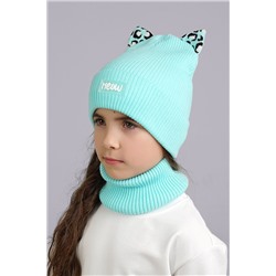 Шапка CLEVER #971424