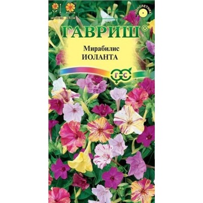 Цв.Мирабилис Иоланта (Гавриш) 1г