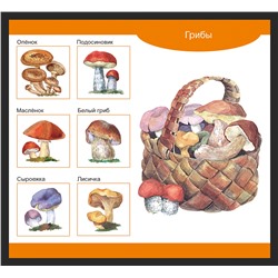 Деревянное лото «Собирай-ка»