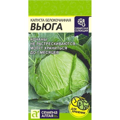Капуста б/к Вьюга Сем.Алтая