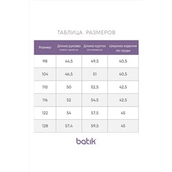 Комплект (Куртка+Брюки) BATIK #967334