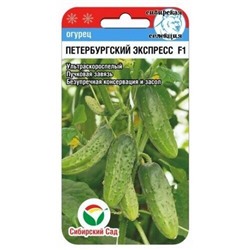 Огурец Петербургский экспресс F1 (Сиб.сад) 7шт