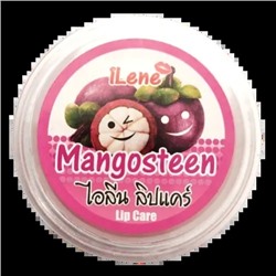 MANGOSTEEN Lip Care, iLene (Бальзам для губ увлажняющий МАНГОСТИН), 10 г.