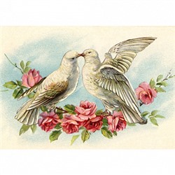 Голуби, картинка на сахарной бумаге 20*30 см